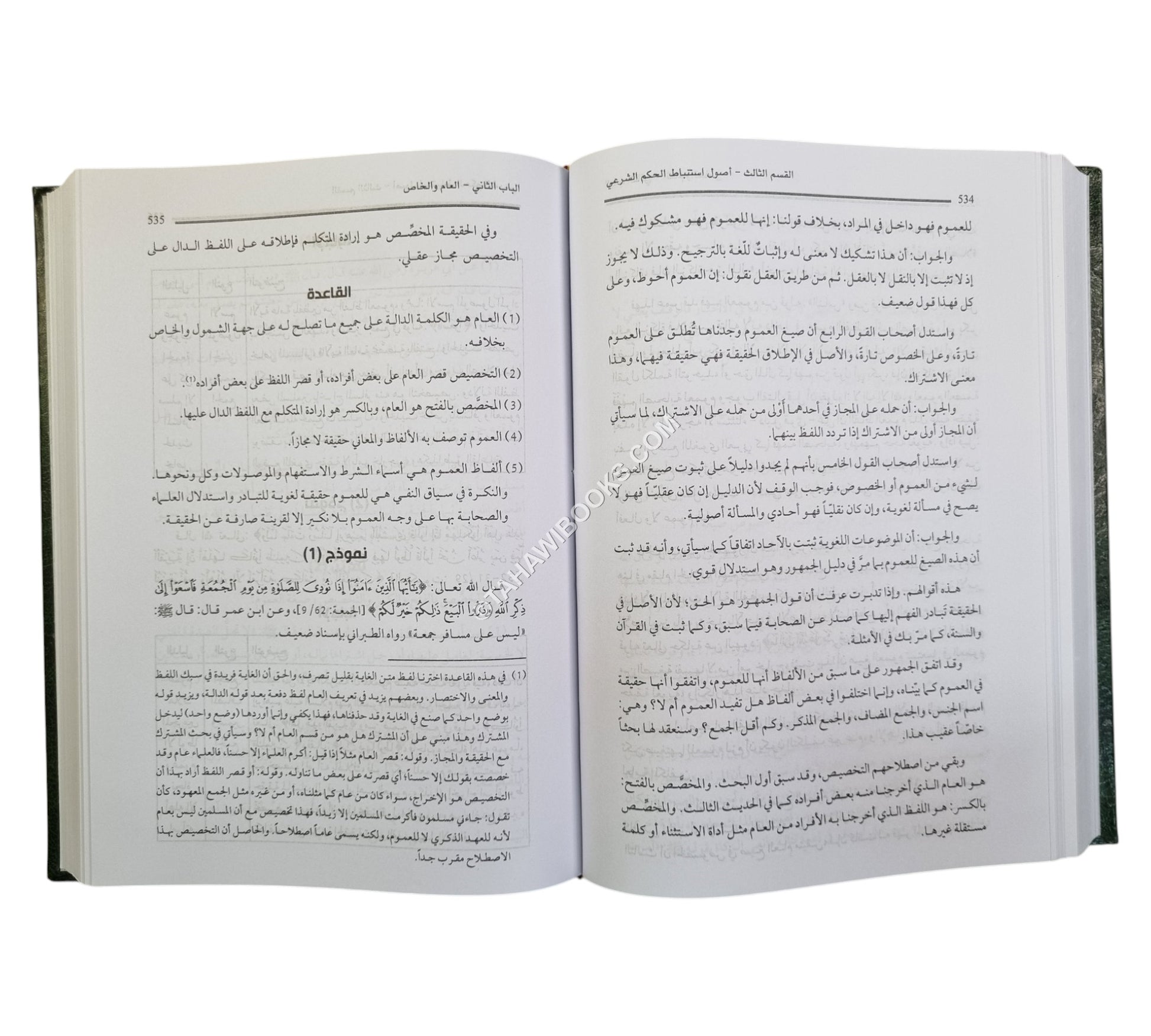 المصفى في أصول الفقه