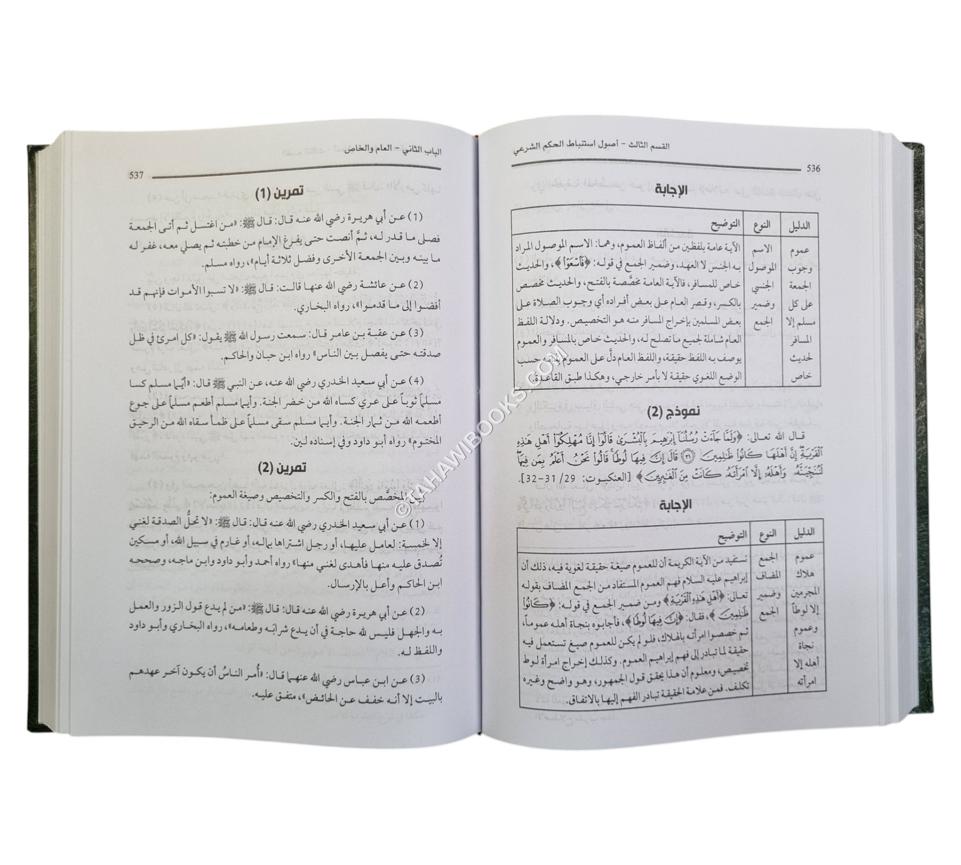 المصفى في أصول الفقه