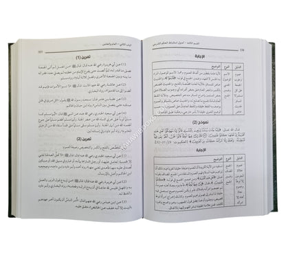 المصفى في أصول الفقه
