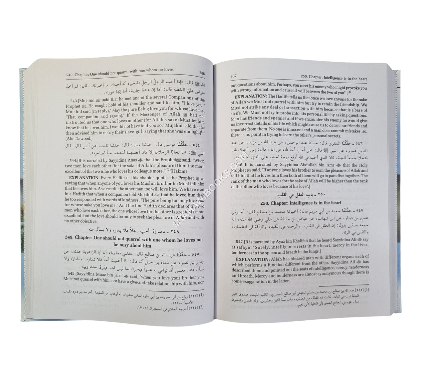 al-Adab al-Mufrad(Ara/Eng)