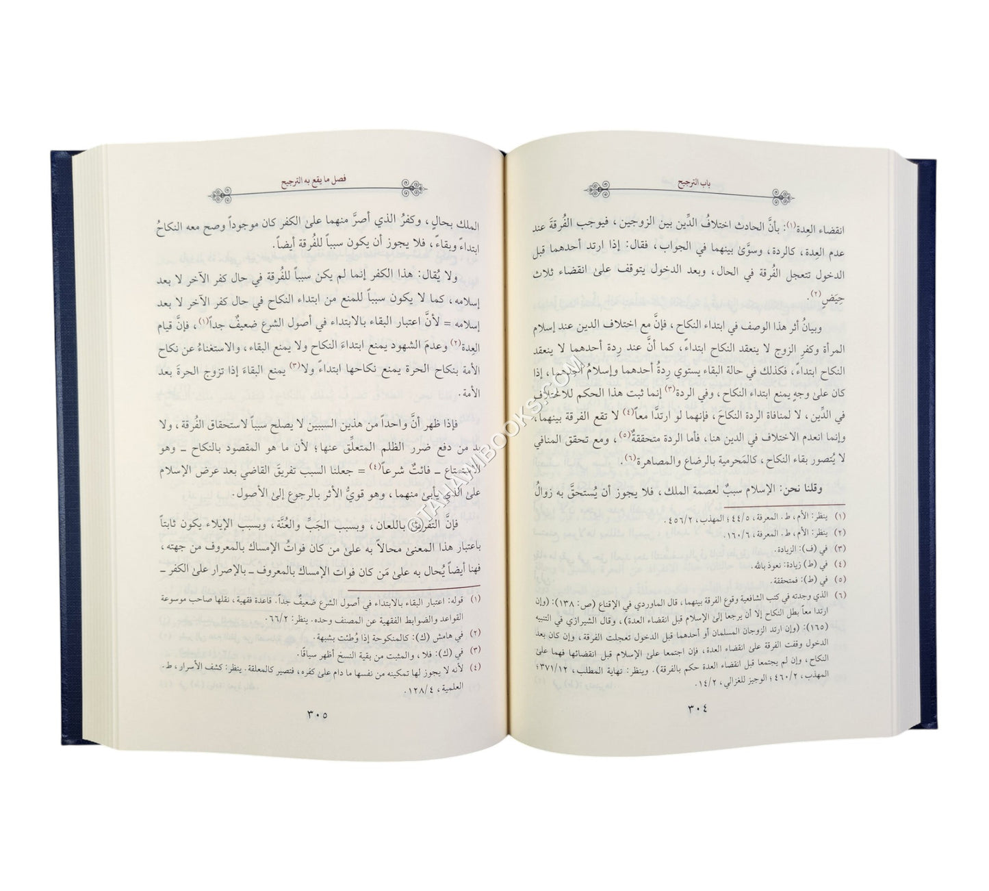 أصول السرخسي-أسفار