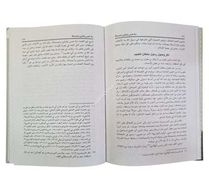 حروب صلاح الدين وفتح المقدس:الفتح القسي في الفتح القدسي