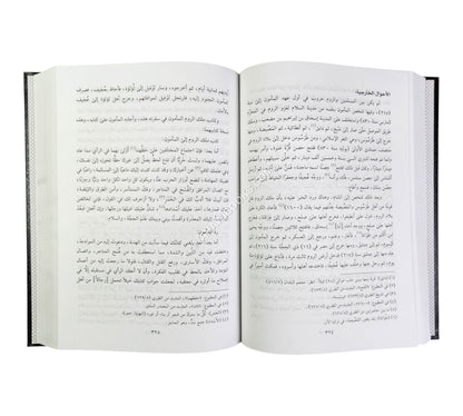 محاضرات في تاريخ الأمم الإسلامية :الدولة العباسية