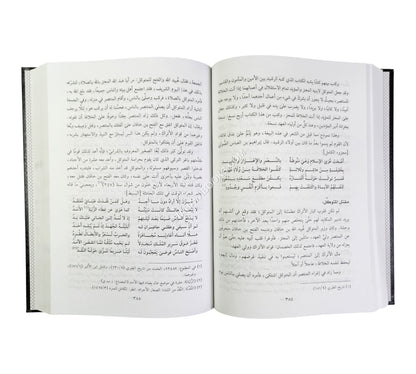 محاضرات في تاريخ الأمم الإسلامية :الدولة العباسية