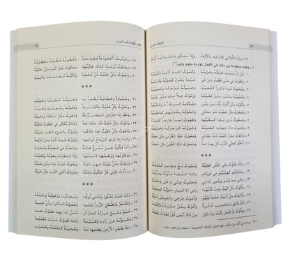 الإملاء العربي الميسر