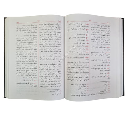 المعجم المفصل في المترادفات في اللغة العربية