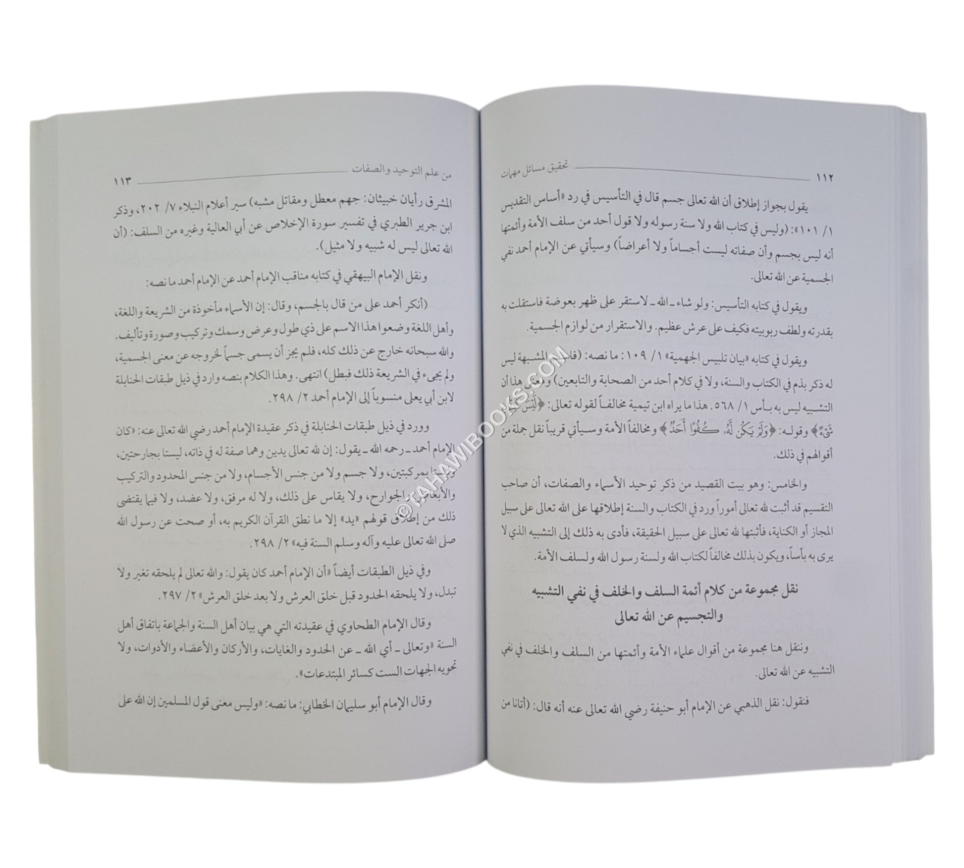 تحقيق مسائل مهمات من علم التوحيد والصفات