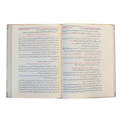 شرح شذور الذهب مع تعليق محمد محي الدين عبد الحميد-الغد