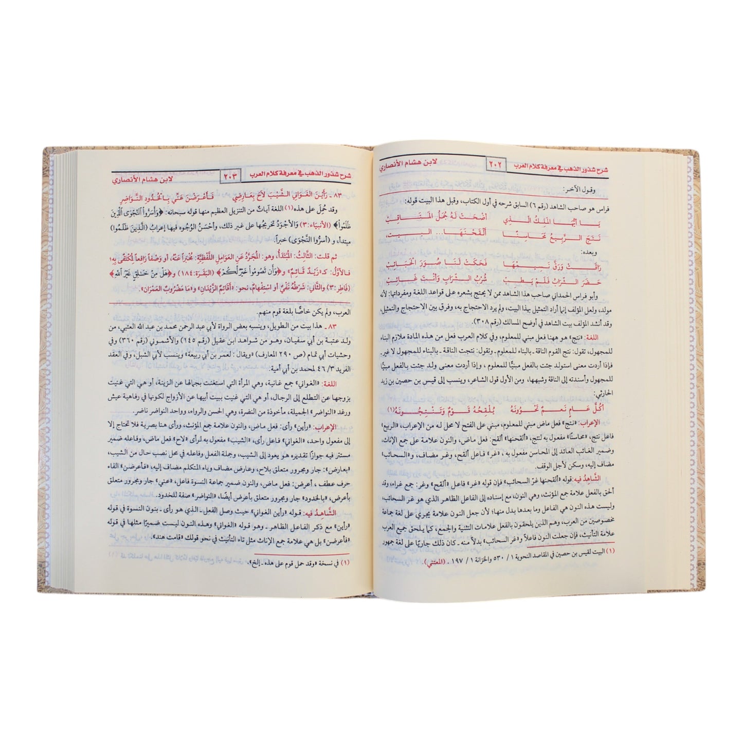شرح شذور الذهب مع تعليق محمد محي الدين عبد الحميد-الغد