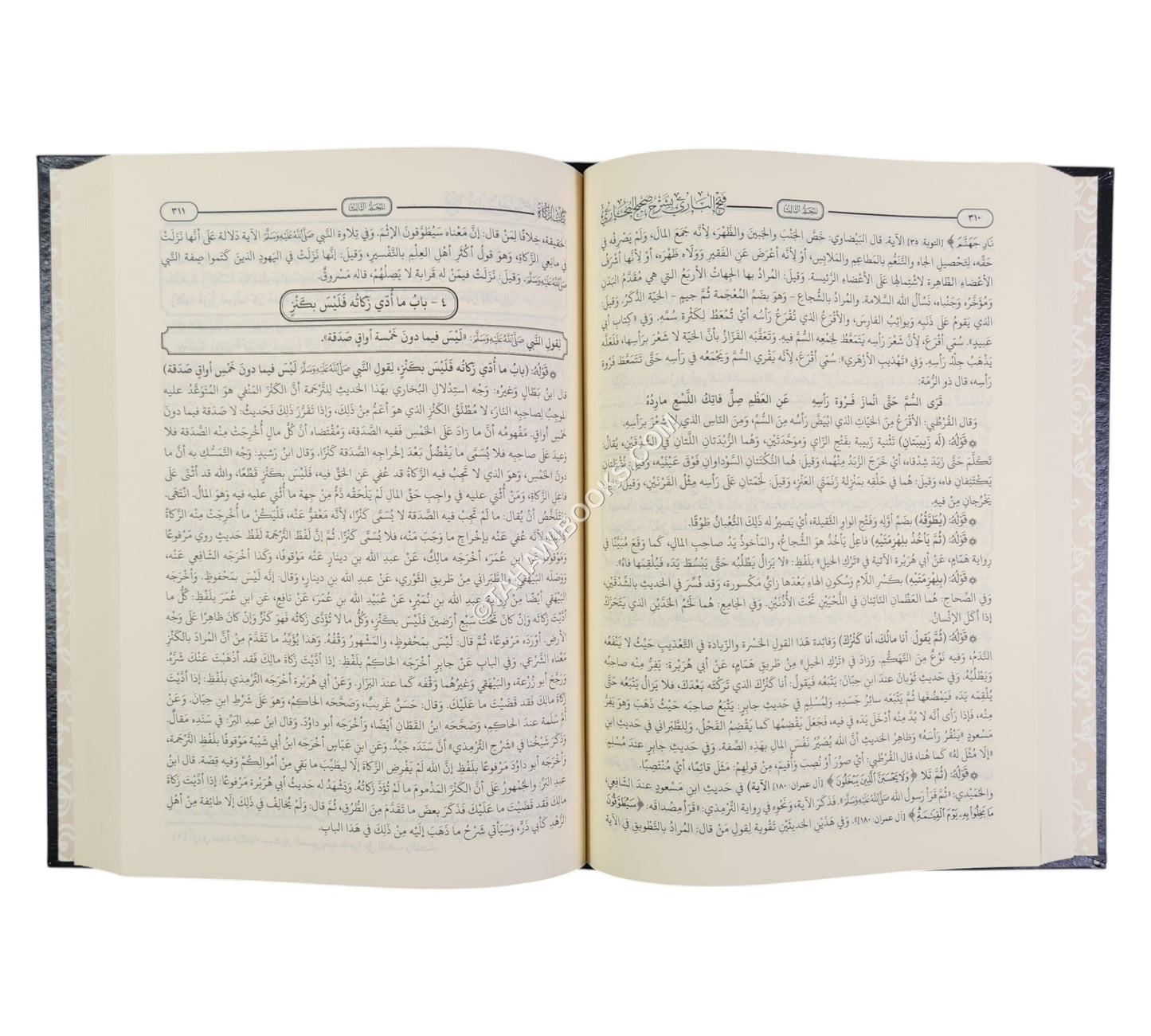 فتح الباري بشرح صحيح البخاري-الحديث