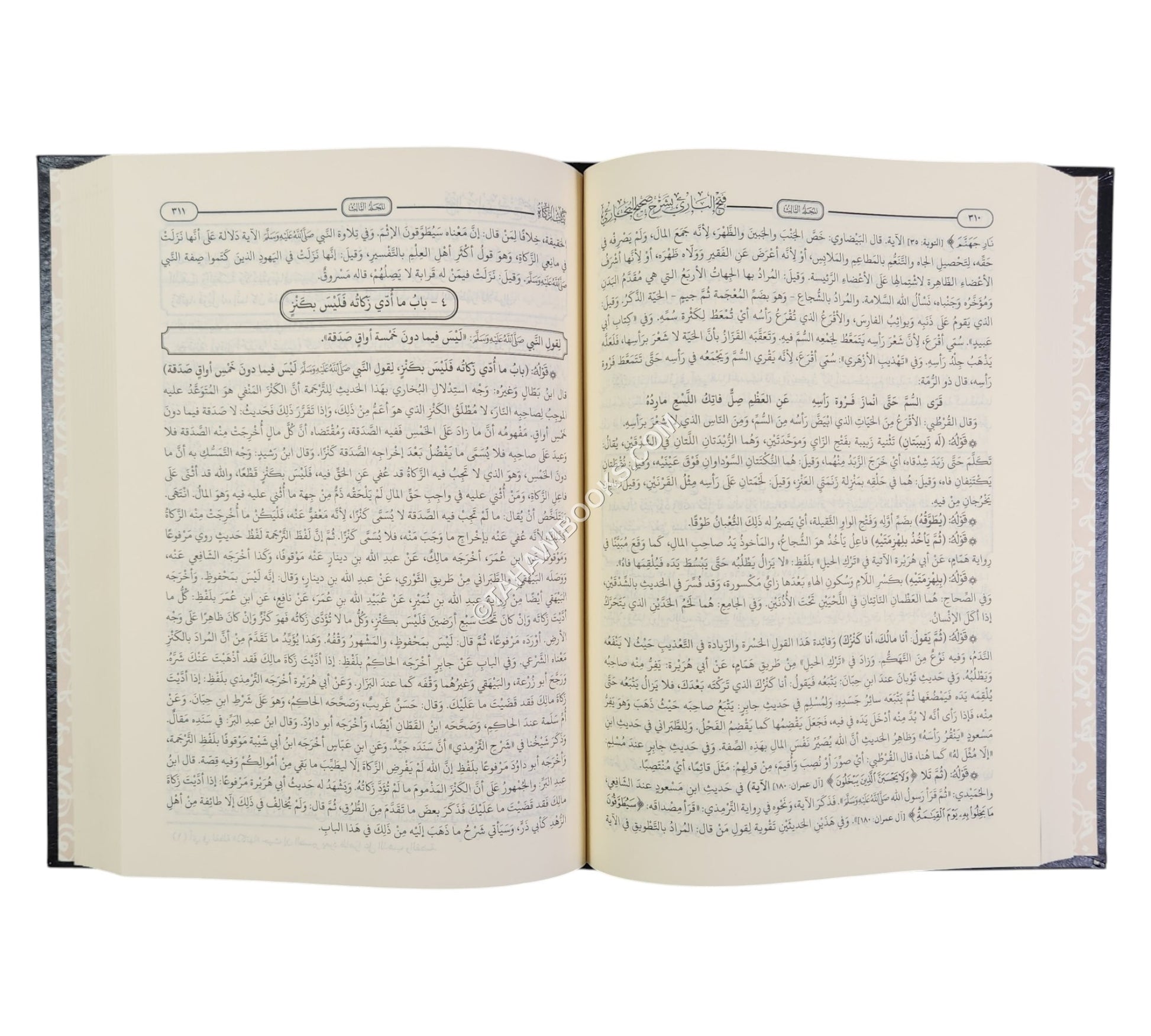 فتح الباري بشرح صحيح البخاري-الحديث