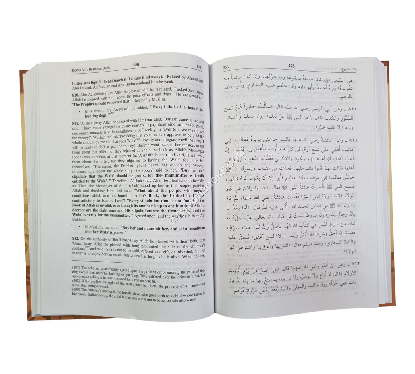 Bulugh al-Maram Ara-Eng