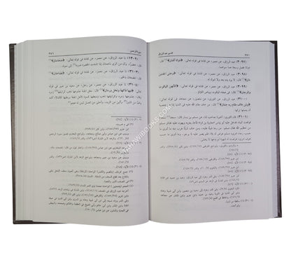 تفسير عبد الرزاق