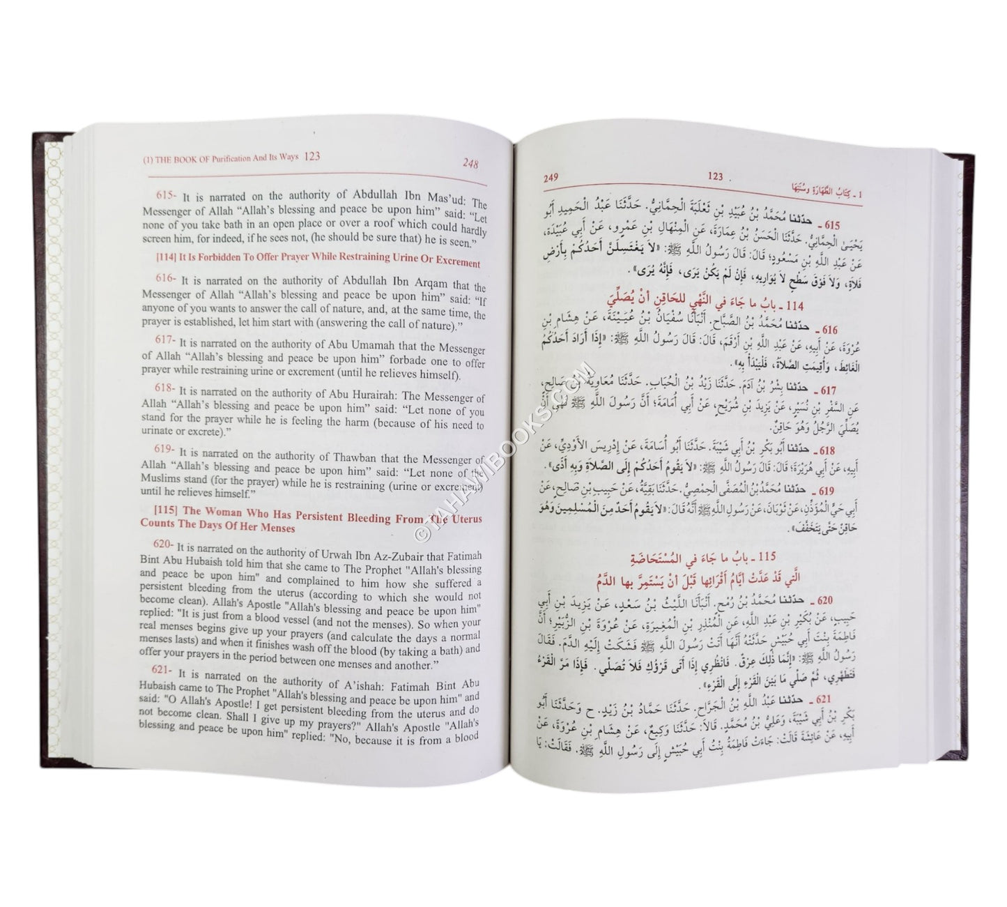 Sunan Ibn Majah-Ara/Eng