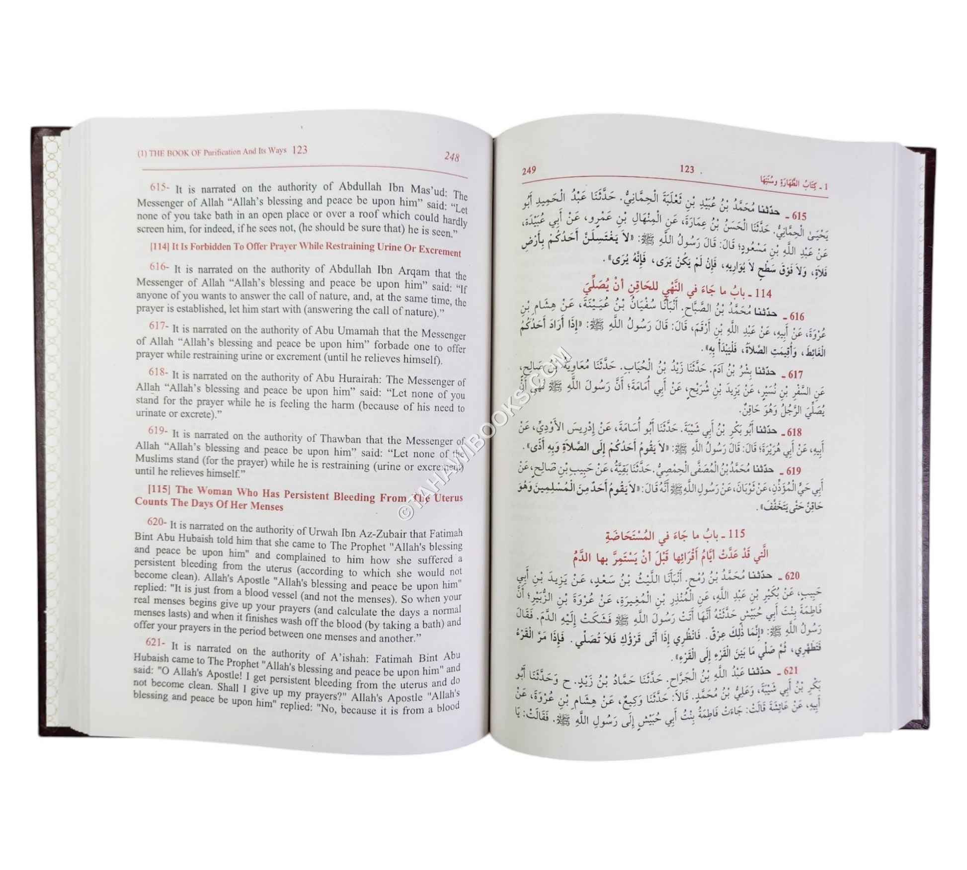 Sunan Ibn Majah-Ara/Eng
