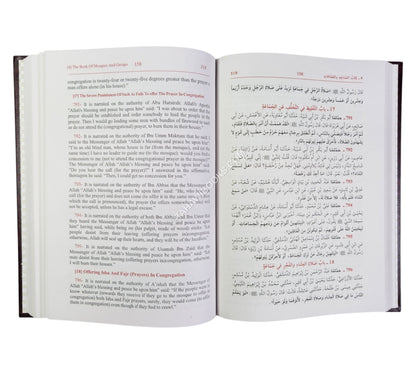 Sunan Ibn Majah-Ara/Eng