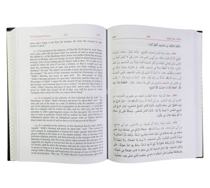 Sunan Abi Dawud-Ara/Eng
