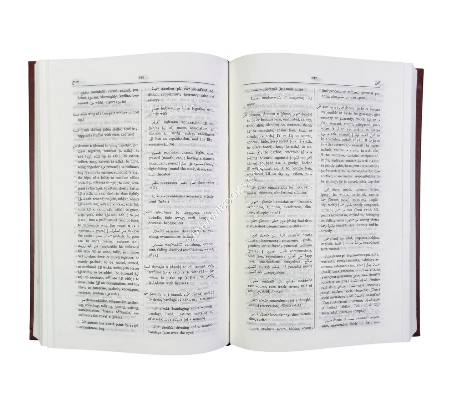 Hans Wehr Arabic/Eng Dictionary-Hardcover-Turkey