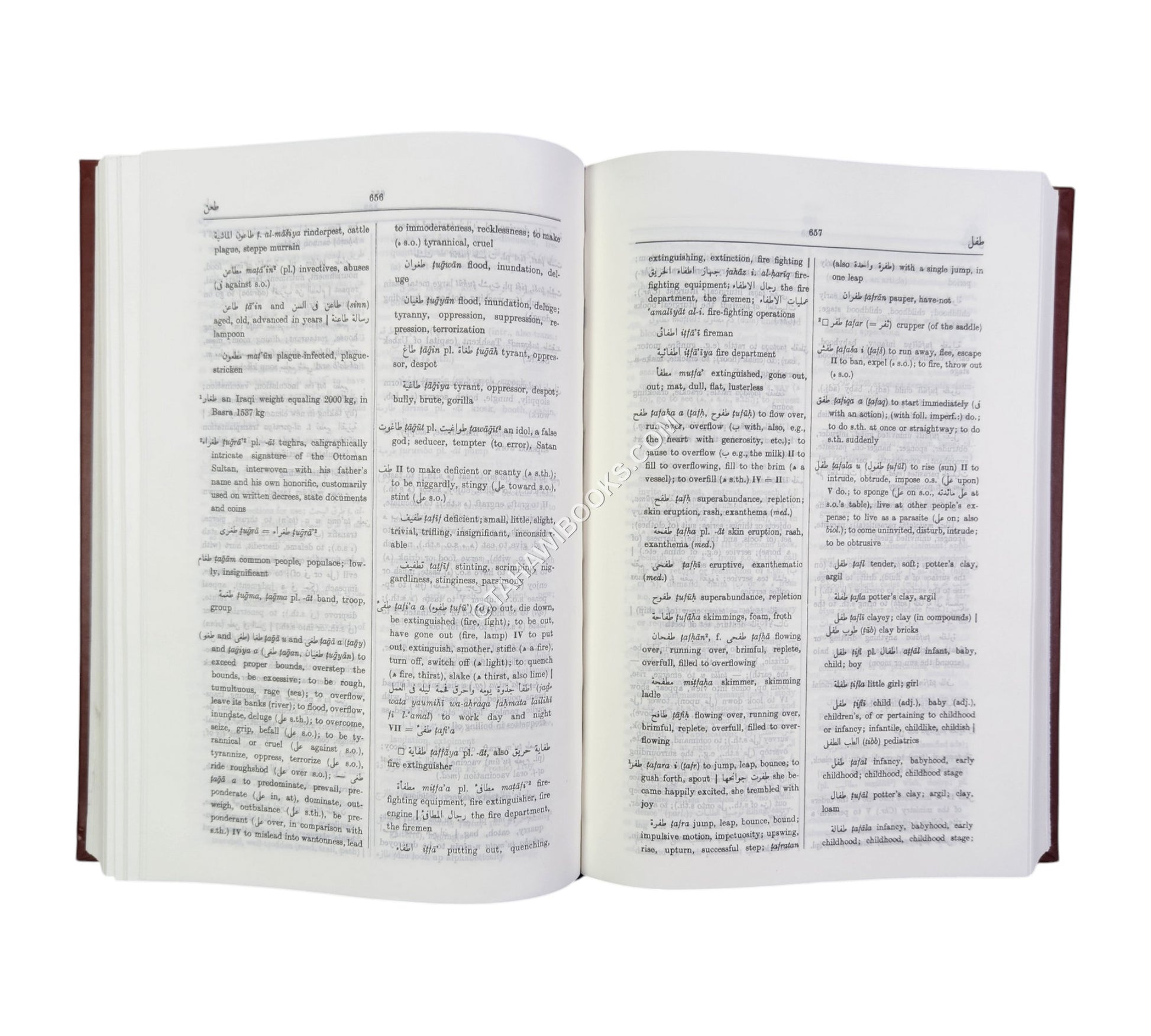 Hans Wehr Arabic/Eng Dictionary-Hardcover-Turkey
