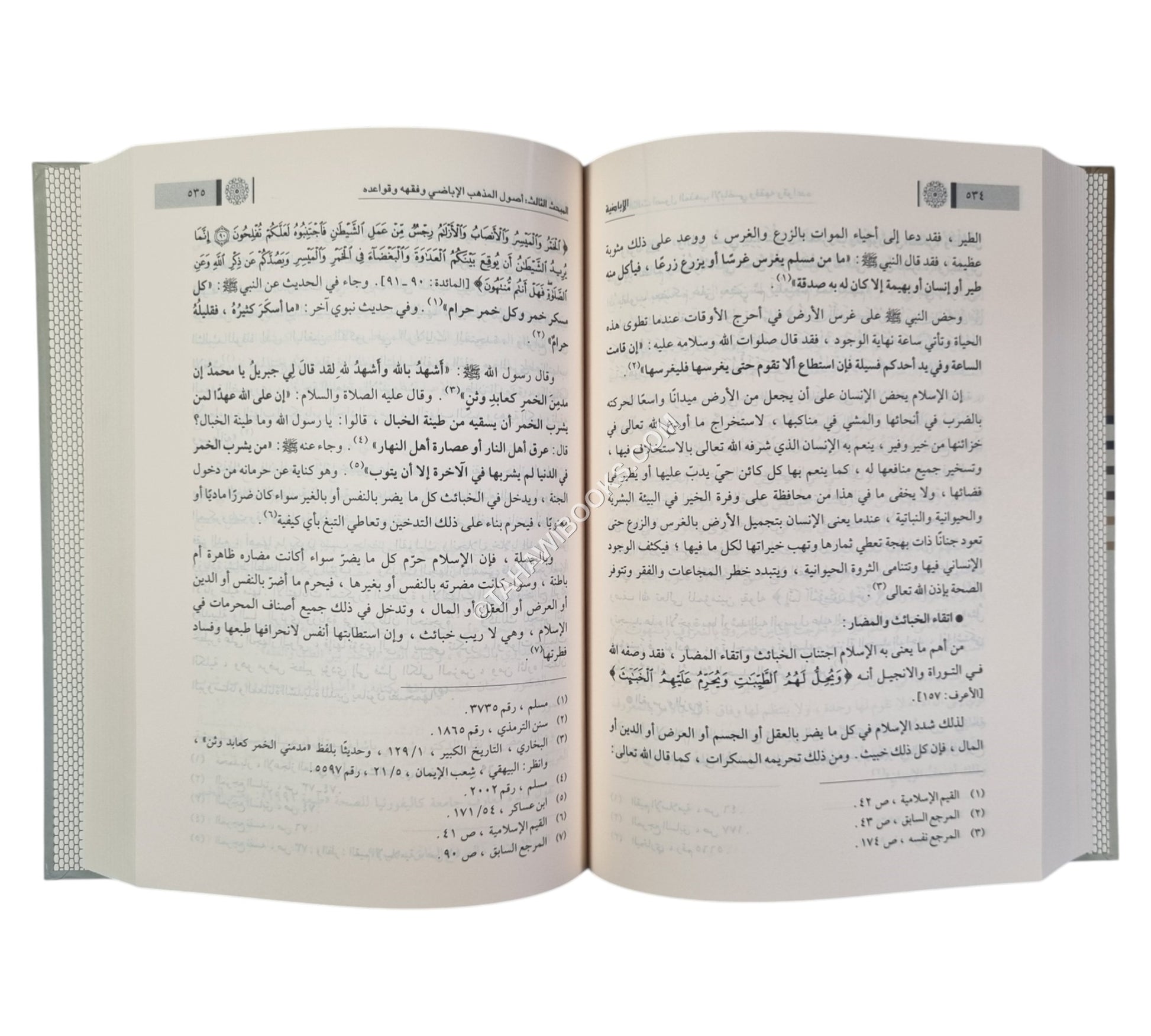 الإباضية