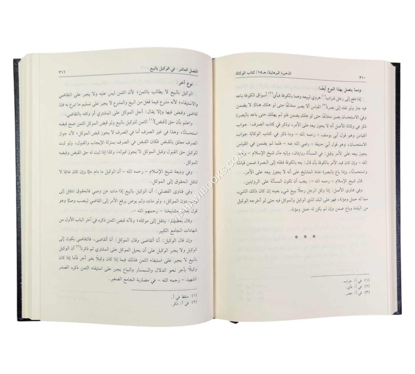 الذخيرة البرهانية المسمى ذخيرة الفتاوى