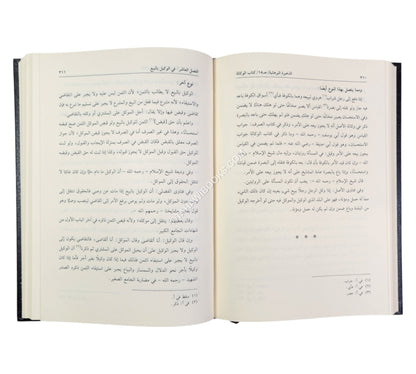 الذخيرة البرهانية المسمى ذخيرة الفتاوى