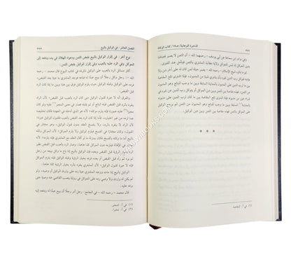 الذخيرة البرهانية المسمى ذخيرة الفتاوى