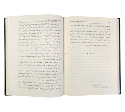 الذخيرة البرهانية المسمى ذخيرة الفتاوى