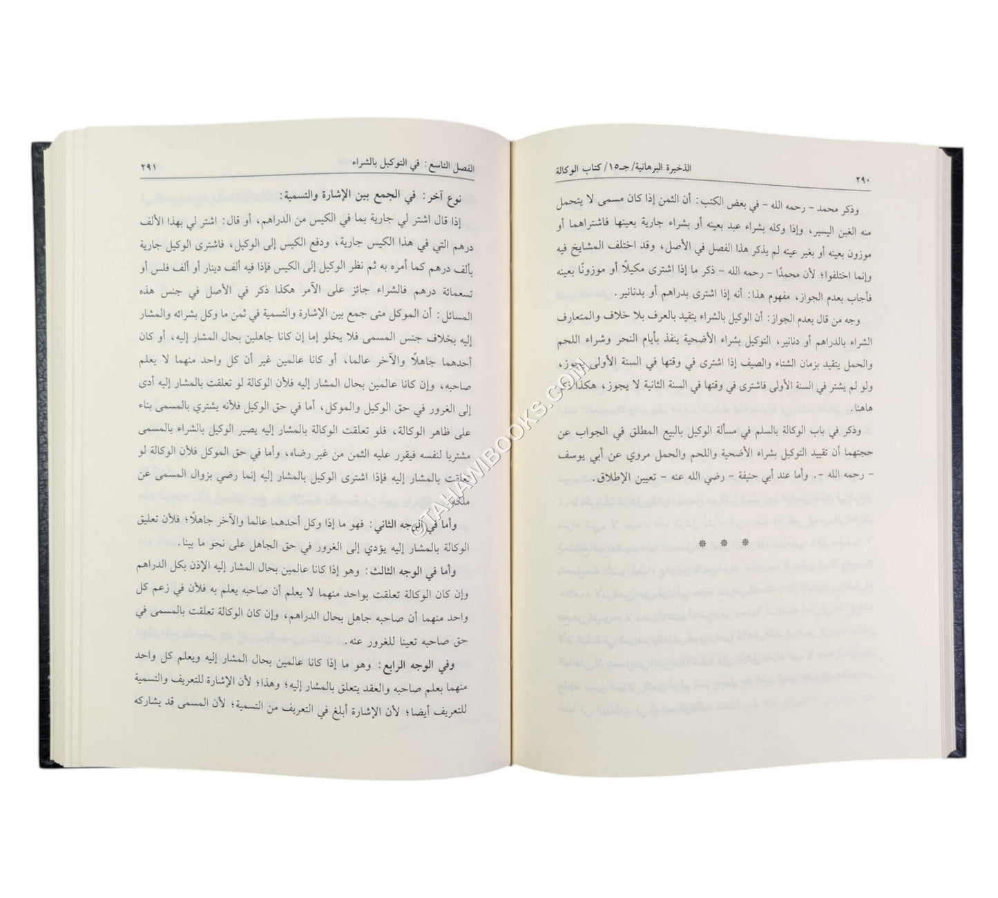 الذخيرة البرهانية المسمى ذخيرة الفتاوى