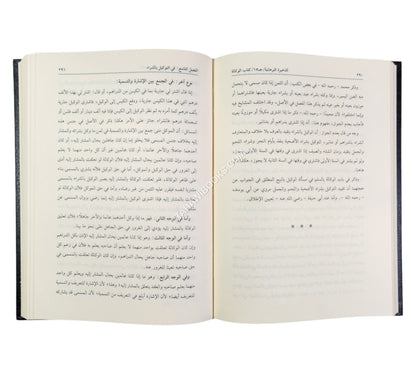 الذخيرة البرهانية المسمى ذخيرة الفتاوى