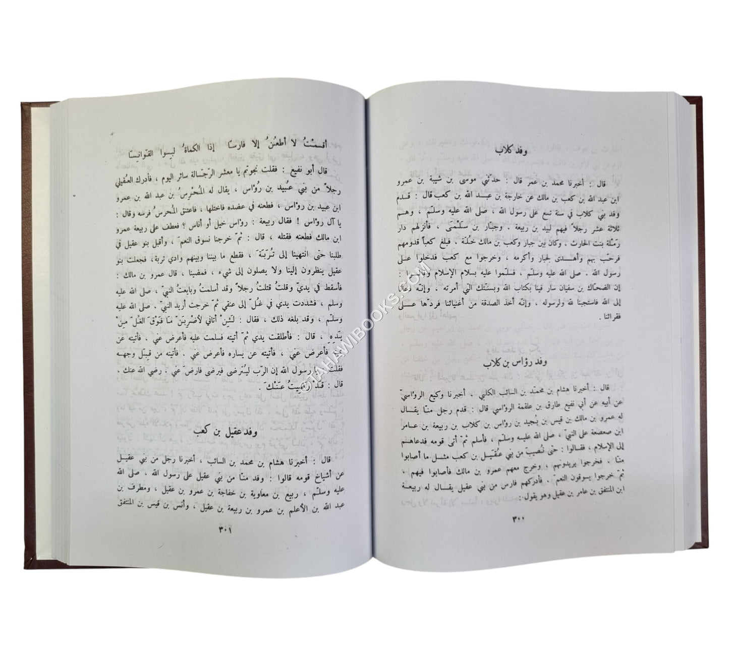 الطبقات الكبرى:طبقات ابن سعد-صادر