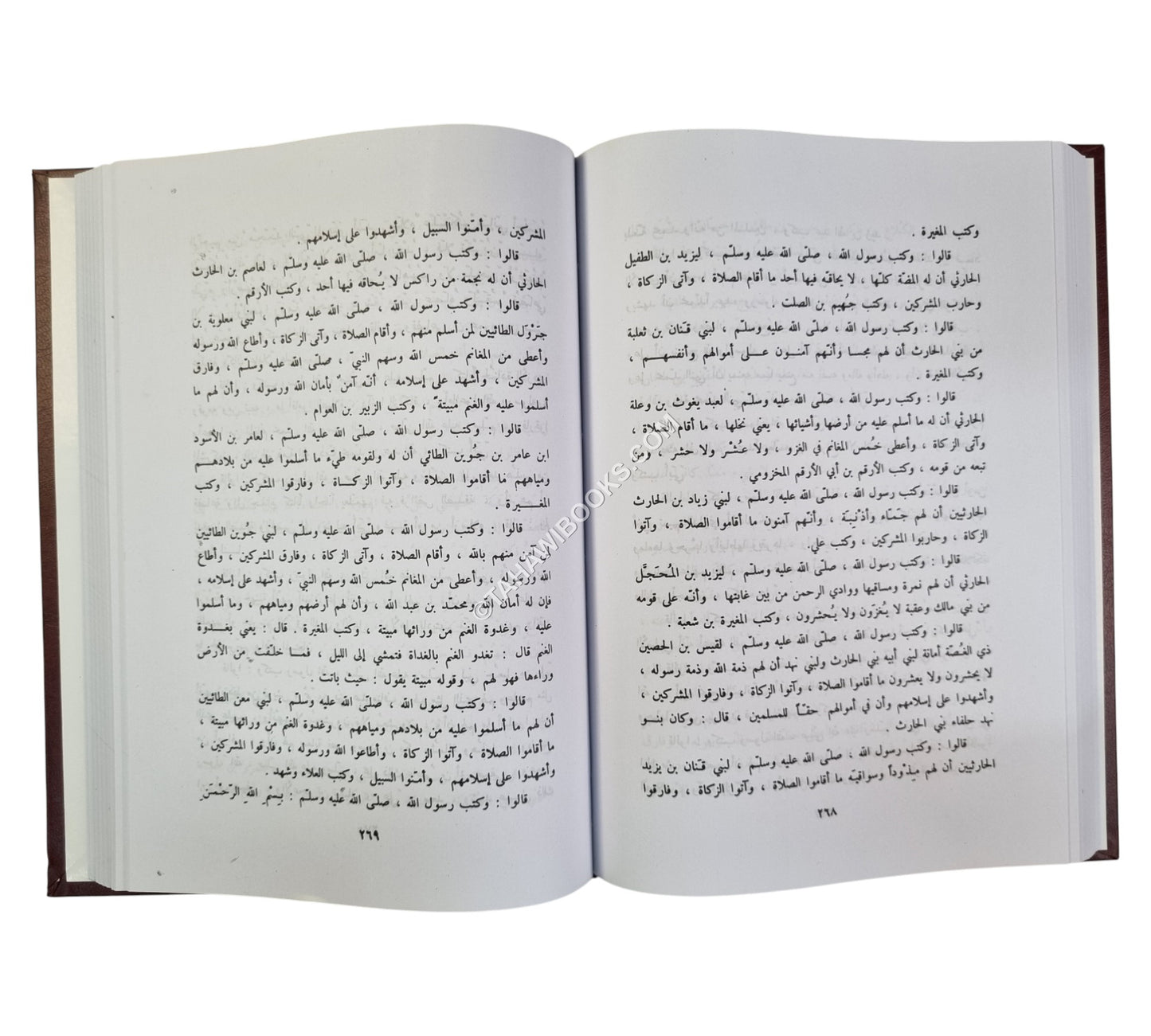 الطبقات الكبرى:طبقات ابن سعد-صادر