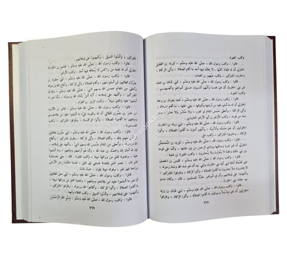 الطبقات الكبرى:طبقات ابن سعد-صادر