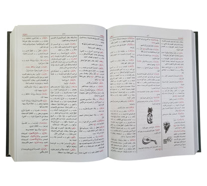 المعجم الوسيط-الشروق