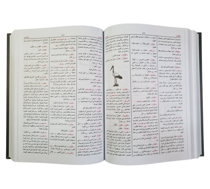 المعجم الوسيط-الشروق