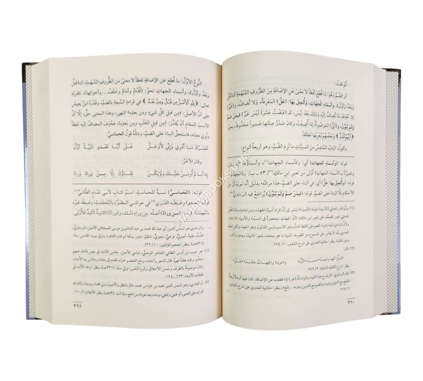 شرح شذور الذهب مع حاشية الفيشي