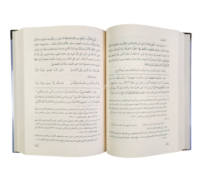 شرح شذور الذهب مع حاشية الفيشي