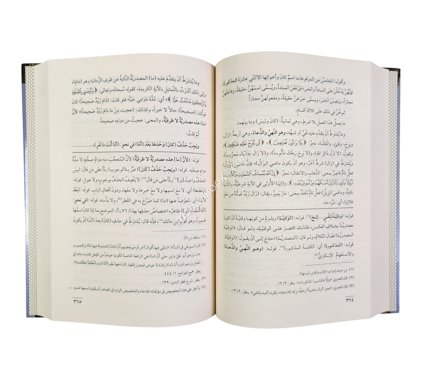 شرح شذور الذهب مع حاشية الفيشي