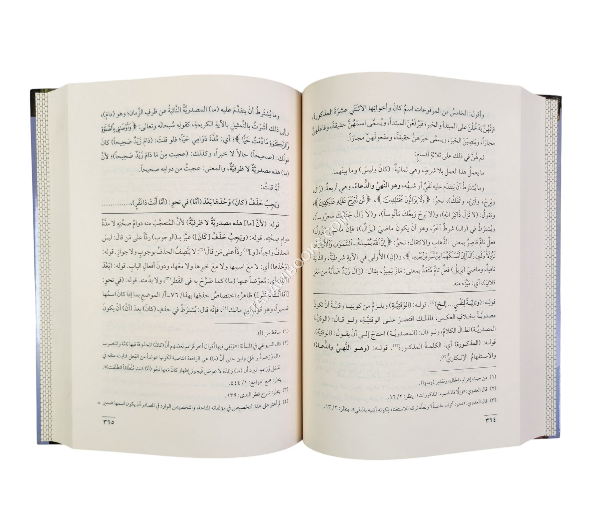 شرح شذور الذهب مع حاشية الفيشي
