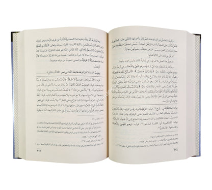 شرح شذور الذهب مع حاشية الفيشي