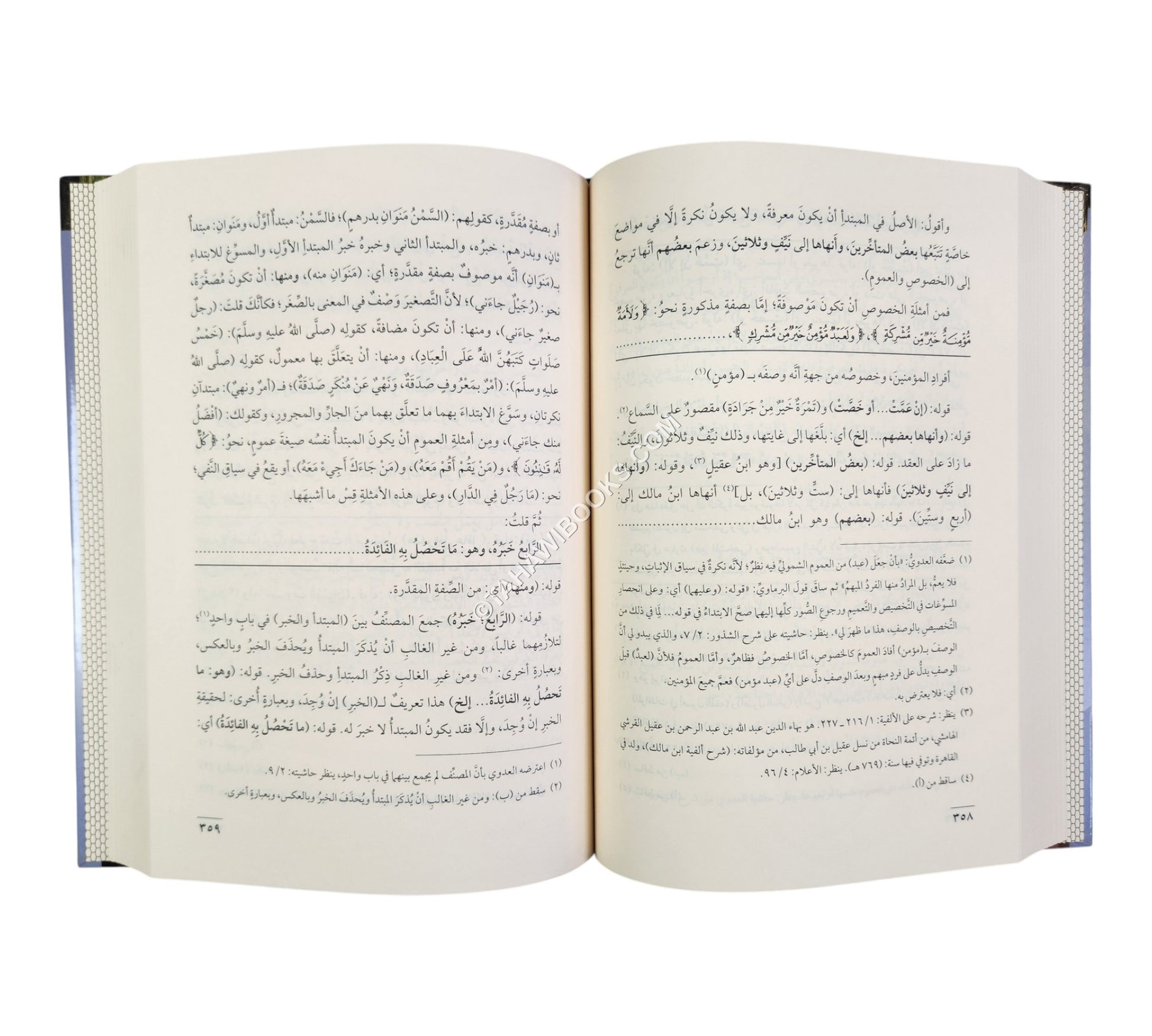 شرح شذور الذهب مع حاشية الفيشي