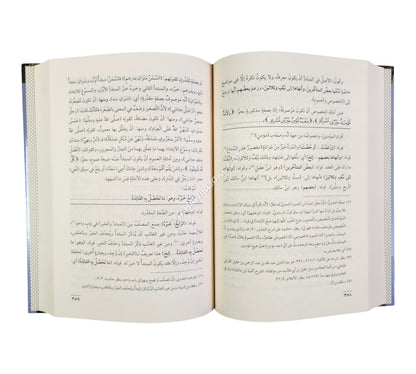 شرح شذور الذهب مع حاشية الفيشي