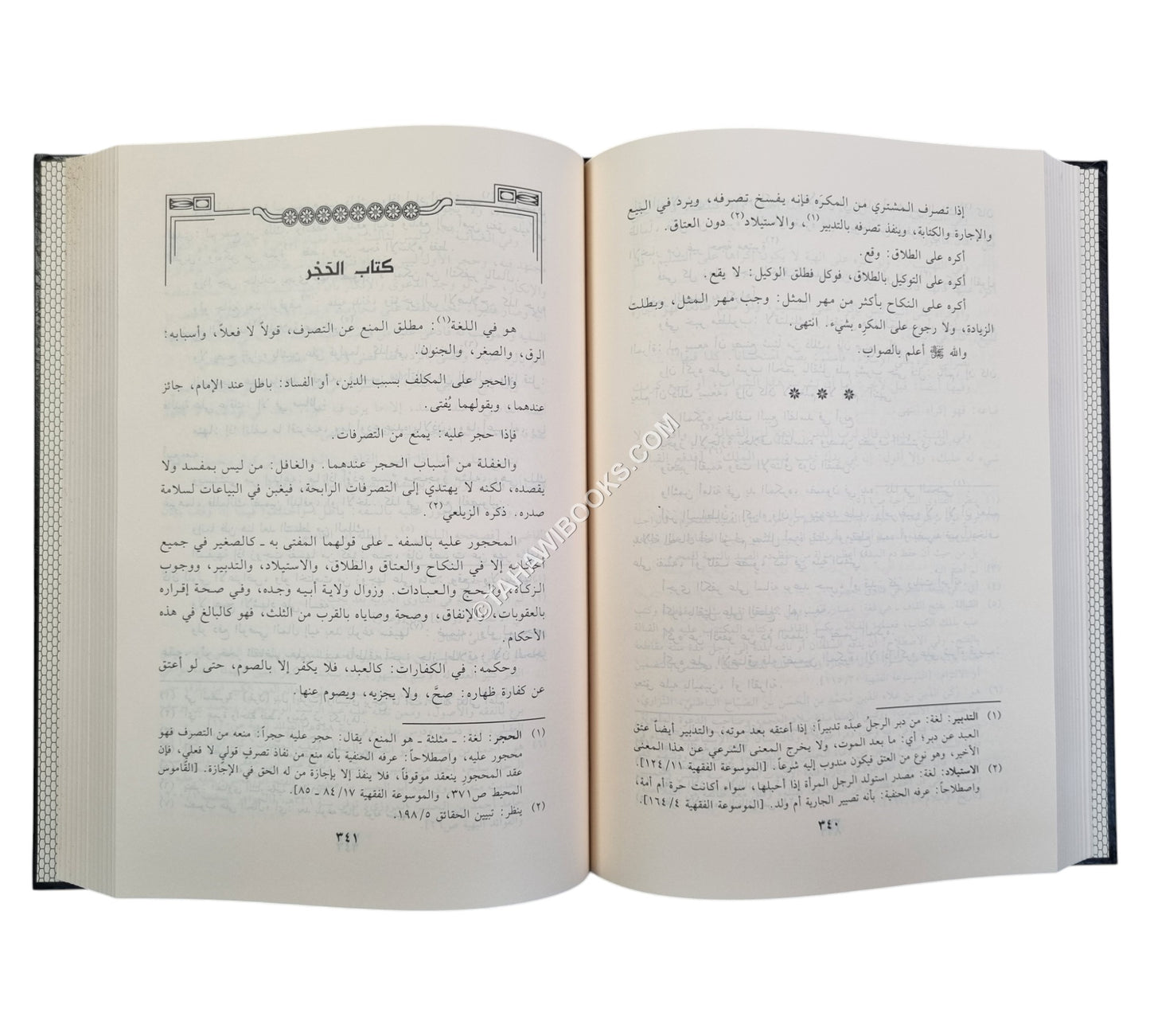 ذخيرة الناظر في الأشباه والنظائر