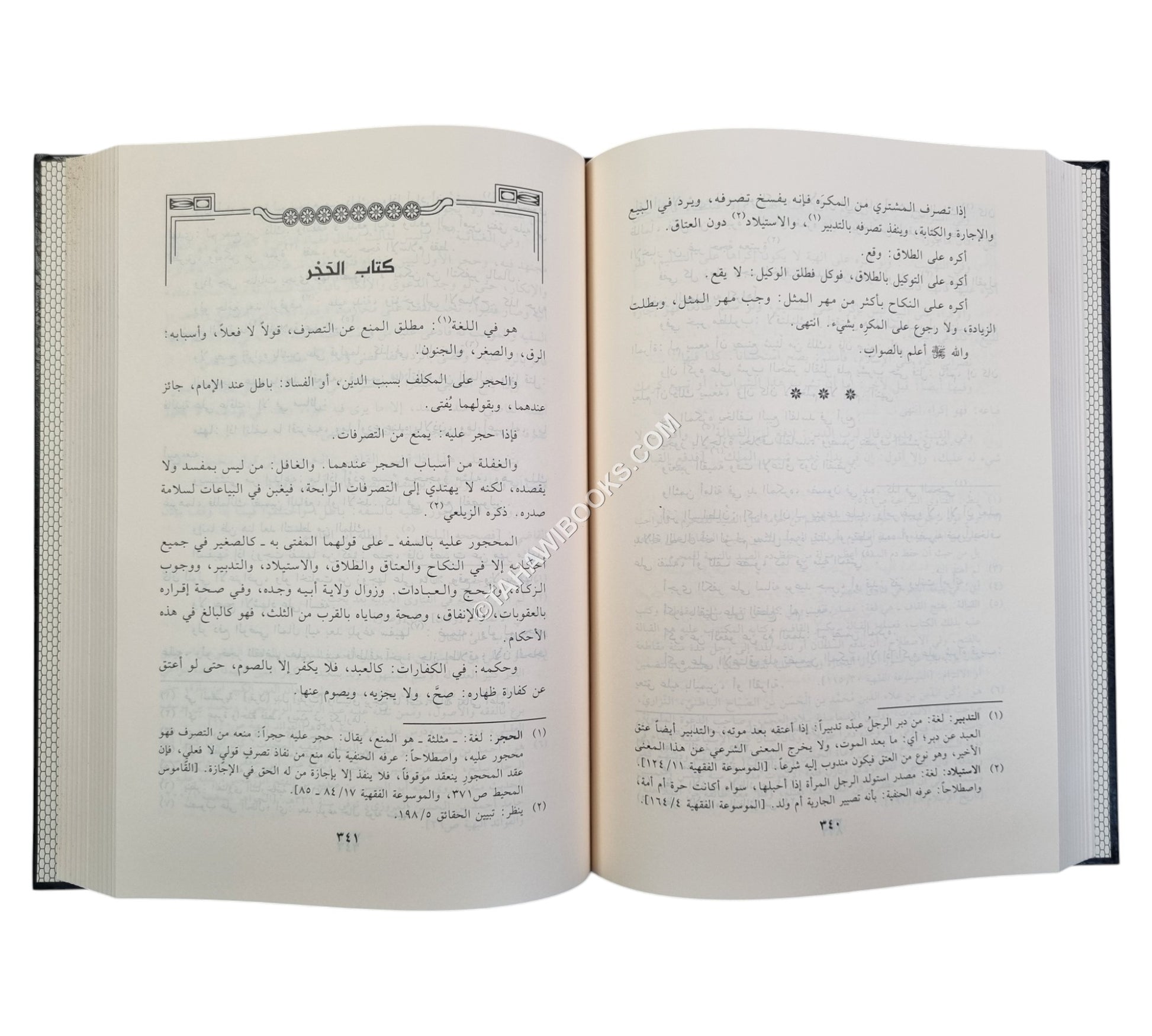 ذخيرة الناظر في الأشباه والنظائر