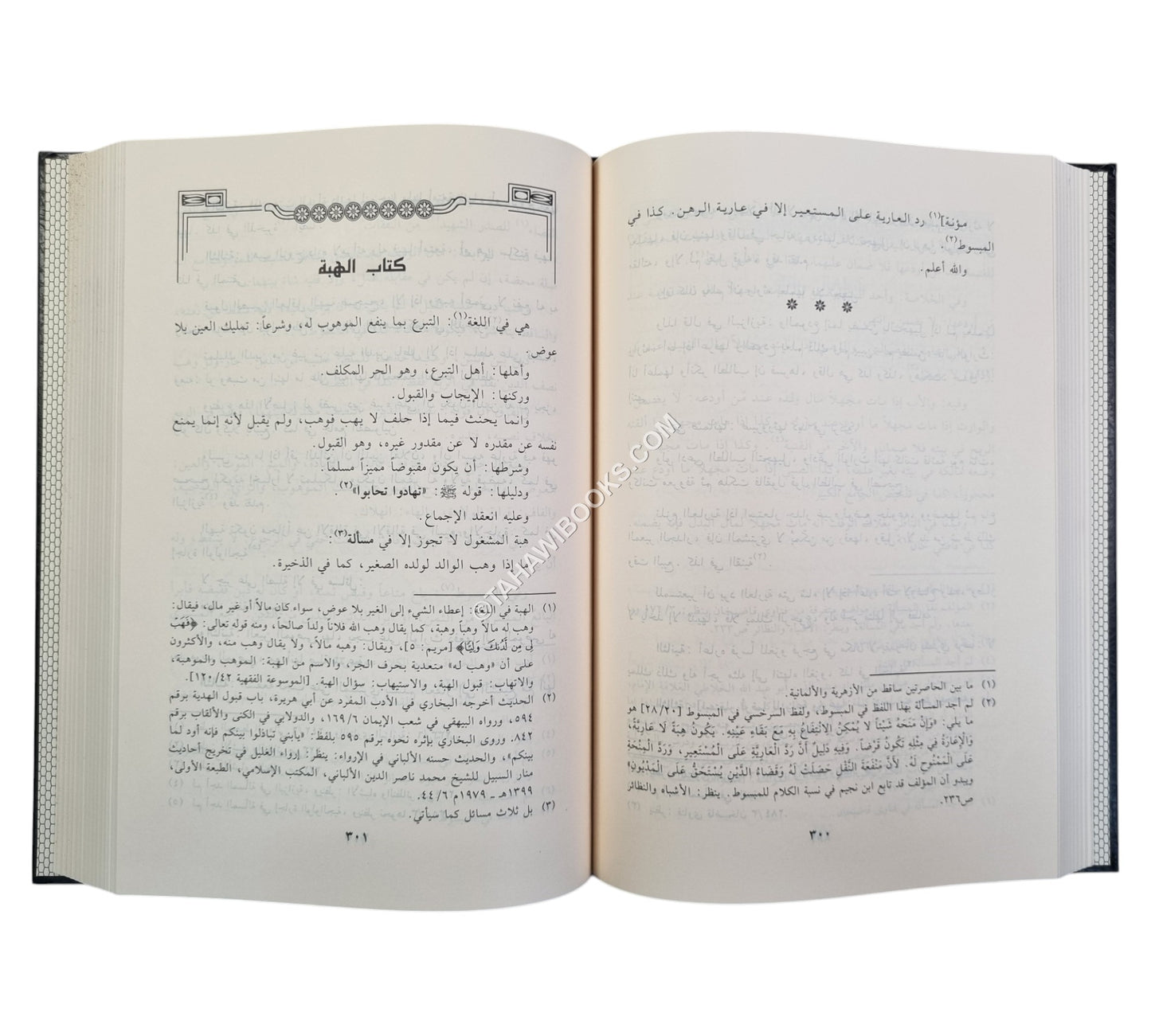 ذخيرة الناظر في الأشباه والنظائر