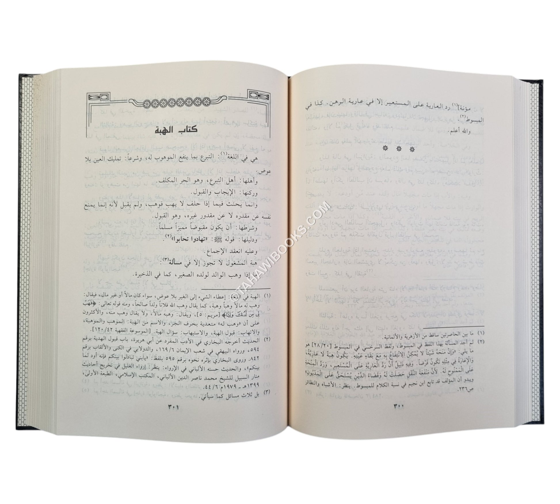 ذخيرة الناظر في الأشباه والنظائر