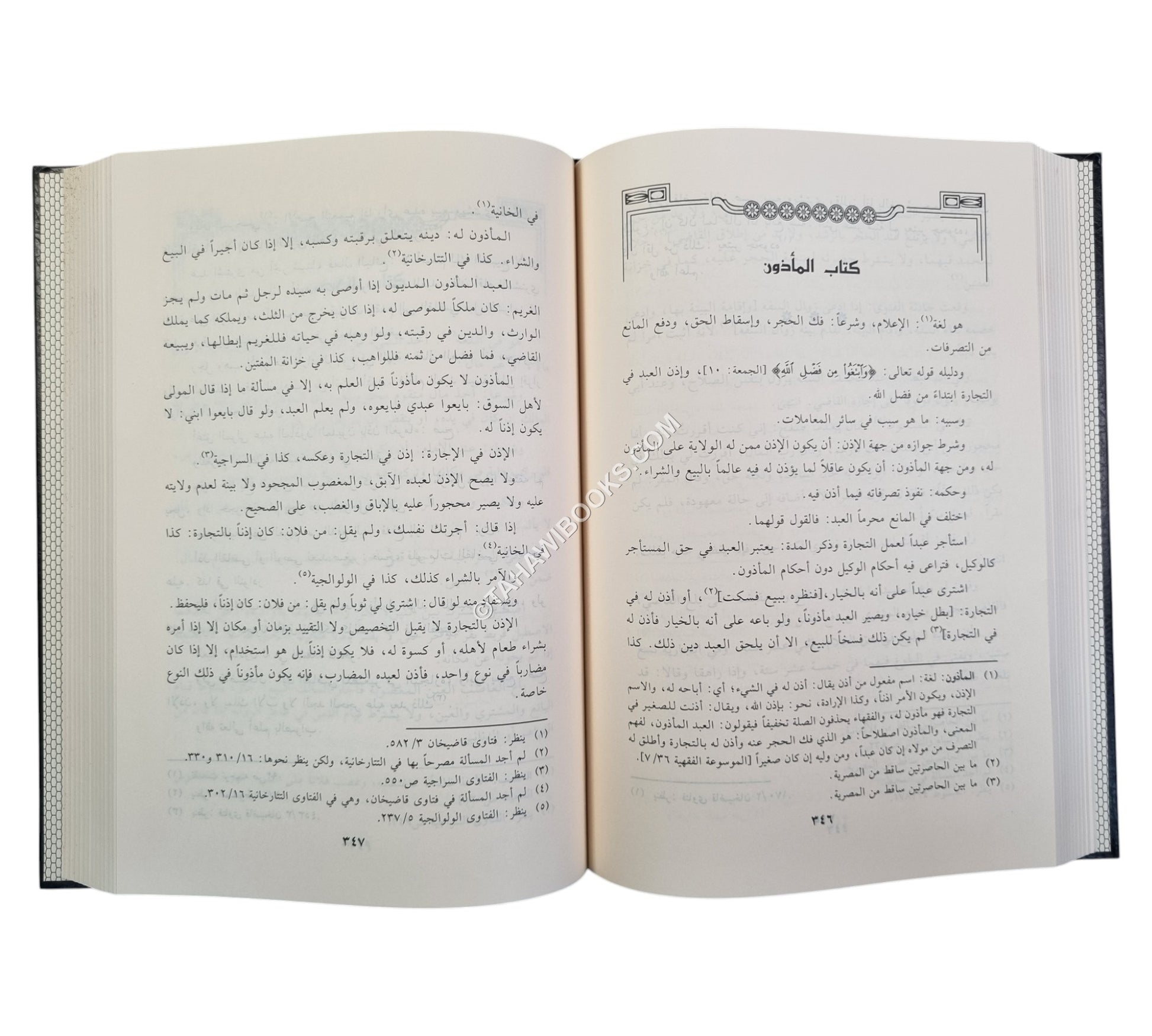 ذخيرة الناظر في الأشباه والنظائر