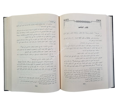ذخيرة الناظر في الأشباه والنظائر