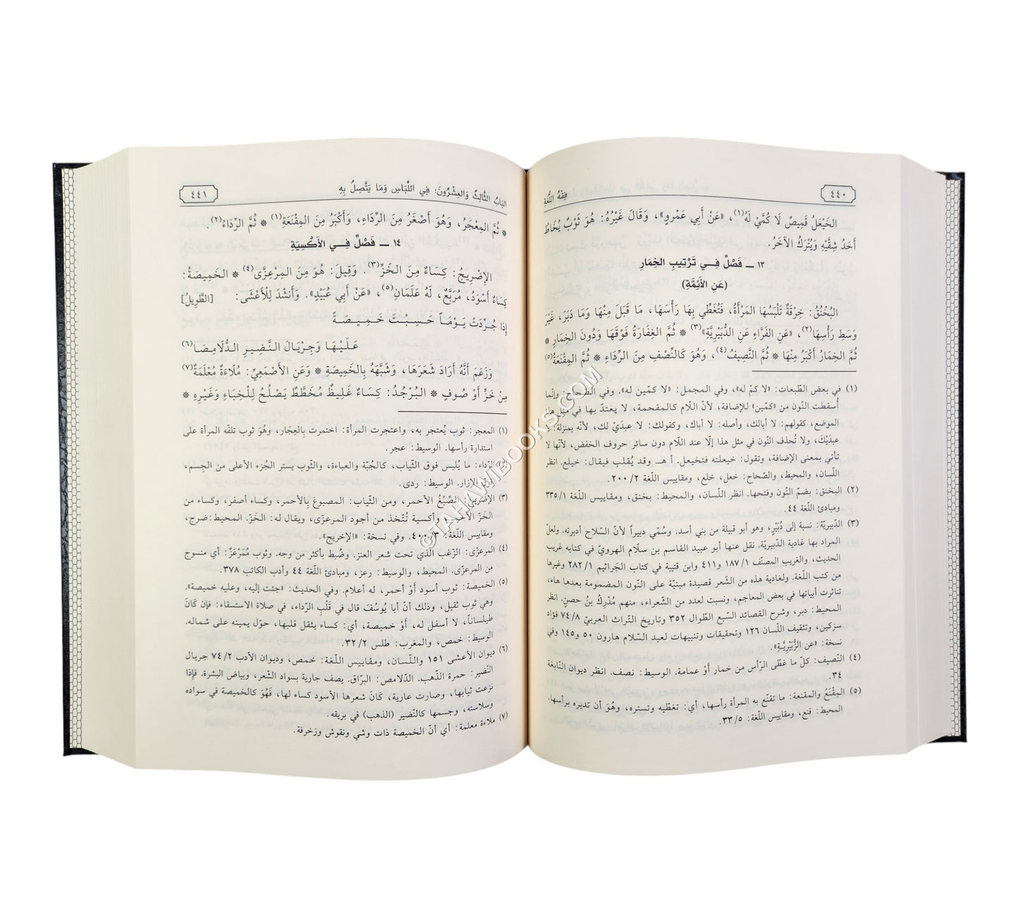 فقه اللغة وسر العربية-الفجر