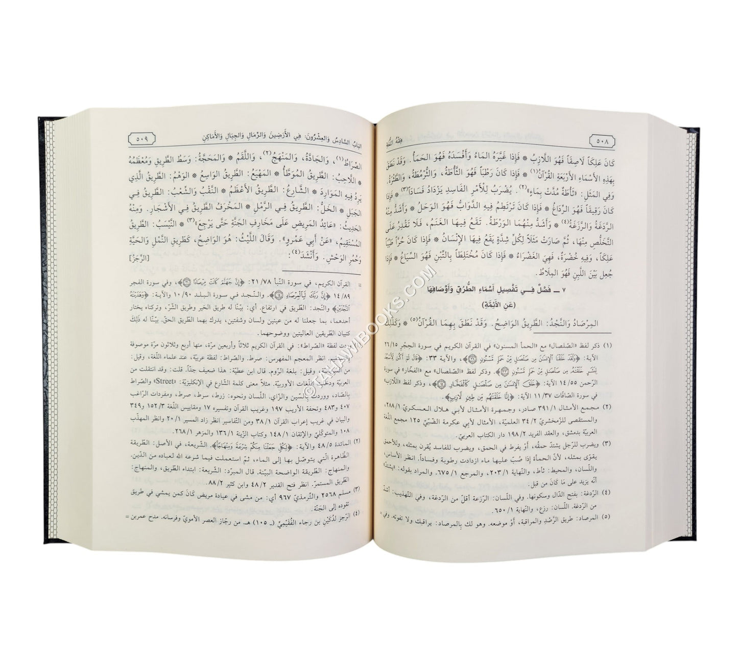فقه اللغة وسر العربية-الفجر